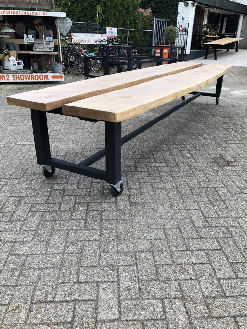Boomstamtafel Indy met lectuur