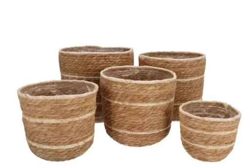 Manden seagrass set van 5 naturel/creme