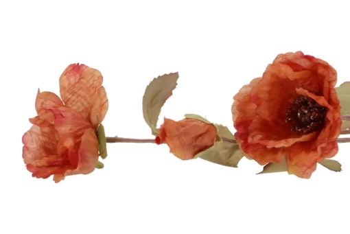 Zijdebloem papaver licht roze - Afbeelding 2