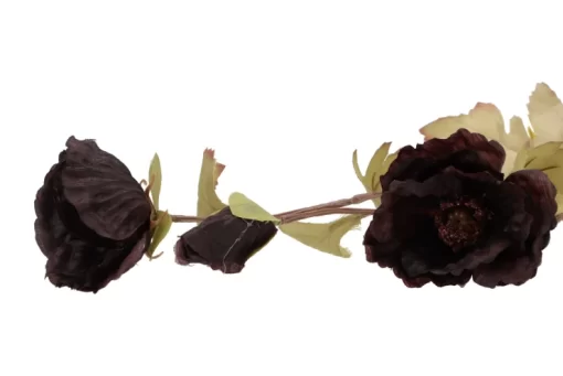 Zijdebloem papaver zwart - Afbeelding 2