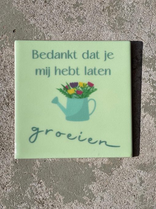 Tegeltje spreuktegel Bedankt dat je mij hebt laten groeien