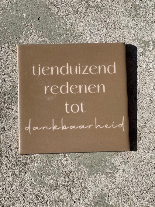 Tegeltje spreuktegel tienduizend redenen
