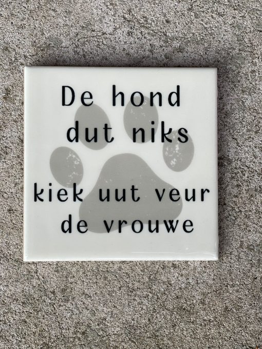 Tegeltje spreuktegel De hond dut niks