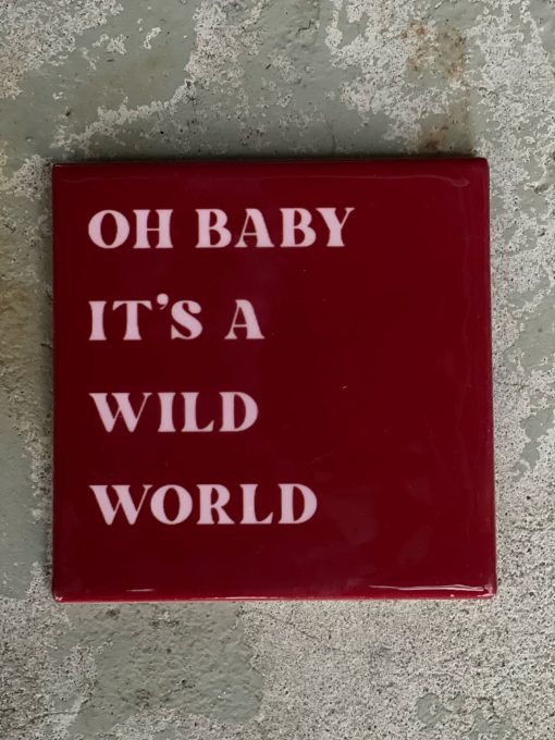 Tegeltje Oh baby it's a wild world | Hippe Spreuktegel | Nieuwe woning cadeau | Housewarming cadeau |Verjaardagscadeau | Birthday |Verjaardag |brievenbuscadeau