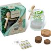 Kweekset glazen potje met zaden en houten lepel, mint, thee