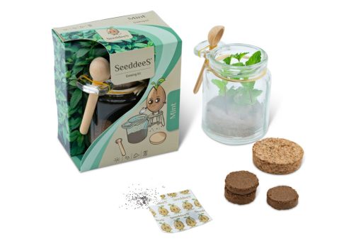 Kweekset glazen potje met zaden en houten lepel, mint, thee