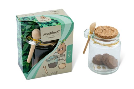 Kweekset glazen potje met zaden en houten lepel, kamille, thee