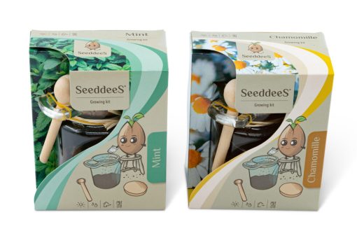 Kweekset glazen potje met zaden en houten lepel, mint, thee - Afbeelding 4