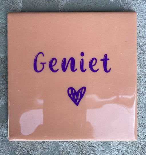 Tegeltje Geniet | Hippe Spreuktegel | Afscheid cadeau| Nieuwe woning cadeau | Housewarming cadeau |Verjaardagscadeau | Birthday |Verjaardag |brievenbuscadeau