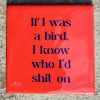 Tegeltje If i was a bird | Hippe Spreuktegel | Afscheid cadeau| Nieuwe woning cadeau | Housewarming cadeau |Verjaardagscadeau | Birthday |Verjaardag |brievenbuscadeau