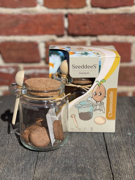 Kweekset glazen potje met zaden en houten lepel, mint, thee - Afbeelding 6