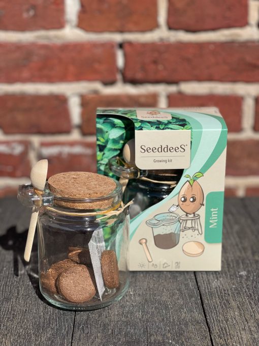 Kweekset glazen potje met zaden en houten lepel, mint, thee - Afbeelding 7