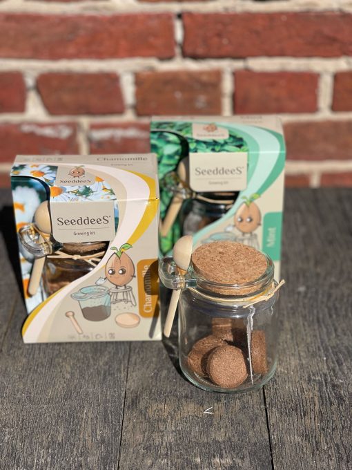 Kweekset glazen potje met zaden en houten lepel, mint, thee - Afbeelding 3