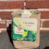 Green gift Jutezak met potgrond en komkommerzaadjes SeeddeeS