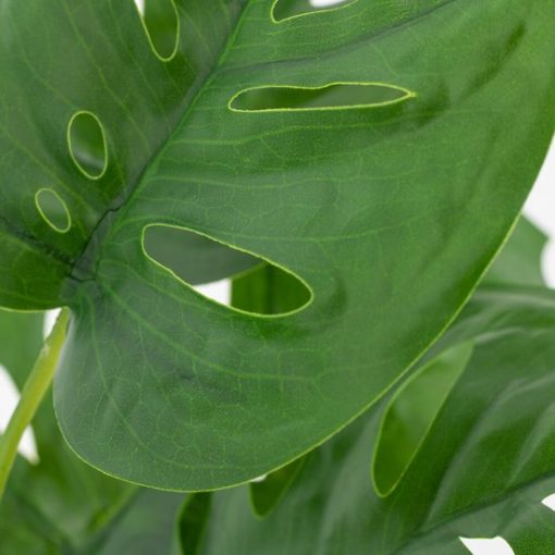 Monstera monkey leaf kunstplant in pot | 45cm | plant voor in huis - Afbeelding 2