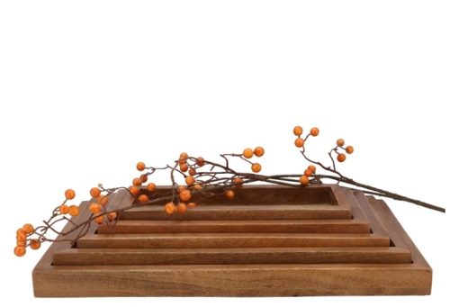 Dienblad mango 41x27cm - Afbeelding 2