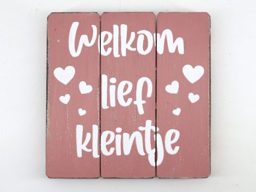 Tekstbord welkom lief kleintje baby roze 20x20cm