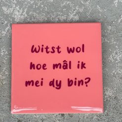 Tegeltje Witst wol hoe mal ik mei dy bin | Hippe Spreuktegel | Afscheid cadeau| Nieuwe woning cadeau | Housewarming cadeau |Verjaardagscadeau | Birthday |Verjaardag |brievenbuscadeau
