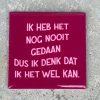 Tegeltje Ik heb het nog nooit gedaan, Dus ik denk dat ik het wel kan. | Hippe Spreuktegel | Afscheid cadeau| Nieuwe woning cadeau | Housewarming cadeau |Verjaardagscadeau | Birthday |Verjaardag |brievenbuscadeau