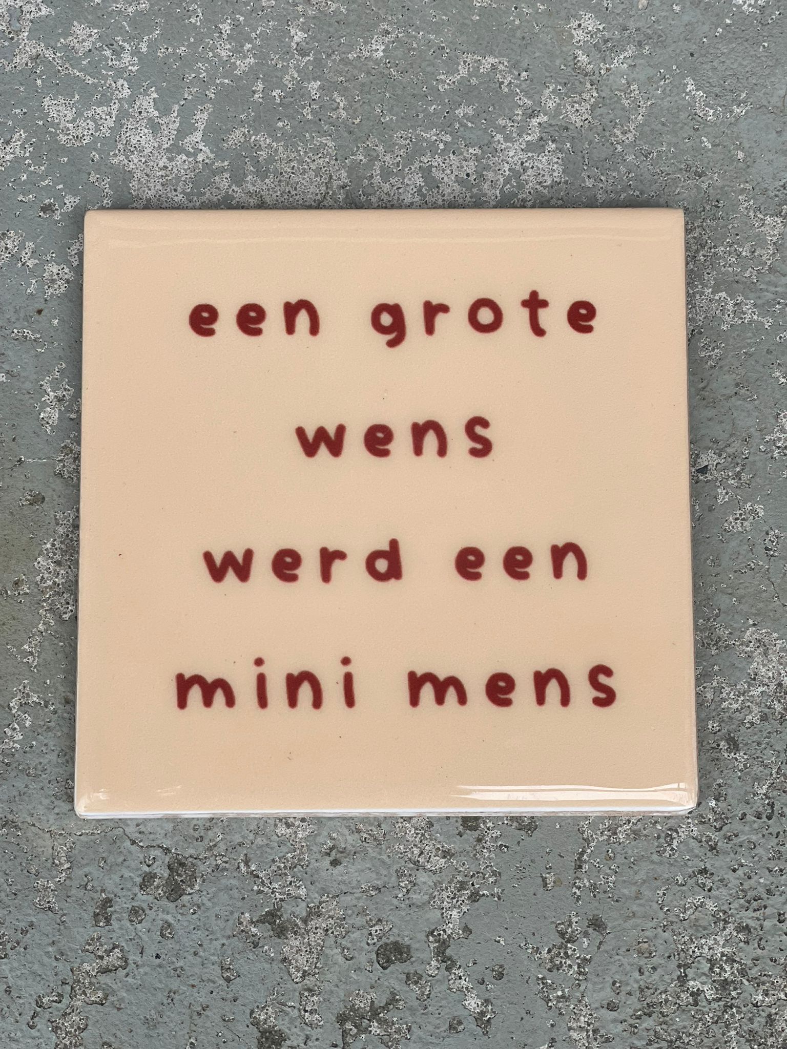 Tegeltje Een grote wens werd een mini mens | Hippe Spreuktegel | Afscheid cadeau| Nieuwe woning cadeau | Housewarming cadeau |Verjaardagscadeau | Birthday |Verjaardag |brievenbuscadeau